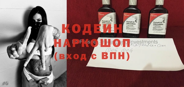 дмт Алексин