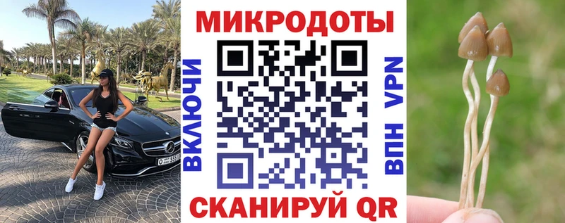 нарко площадка как зайти  Цимлянск  Галлюциногенные грибы GOLDEN TEACHER 